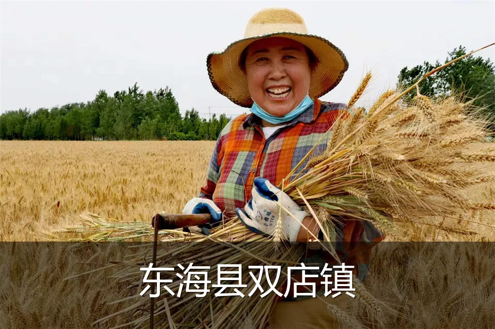 东海县双店镇